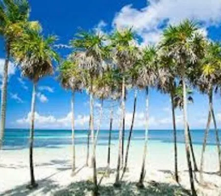 Lorcrimar Puerto Banus